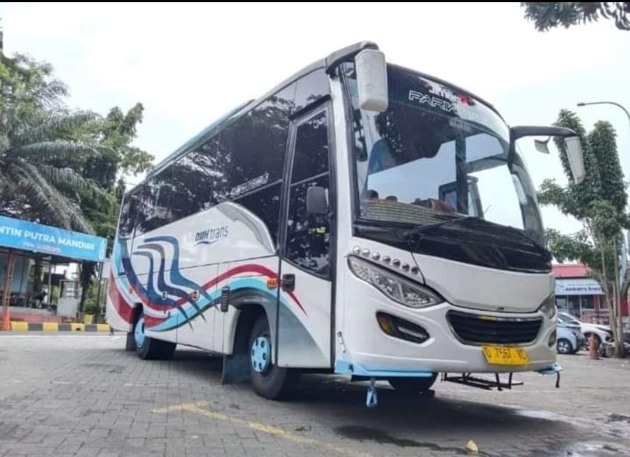 Medium Bus 33 Seat DMH Trans